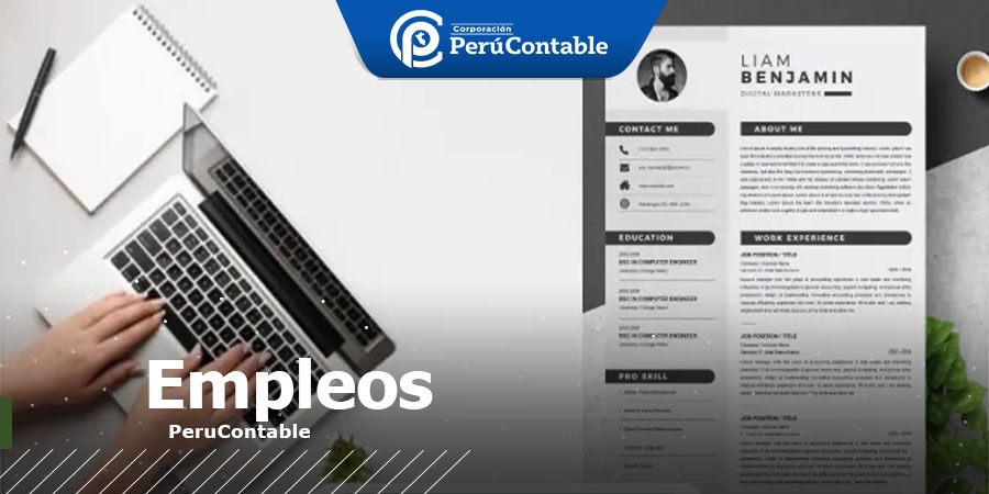 Empleo: ¿Cómo hacer un CV más atractivo para conseguir trabajo?